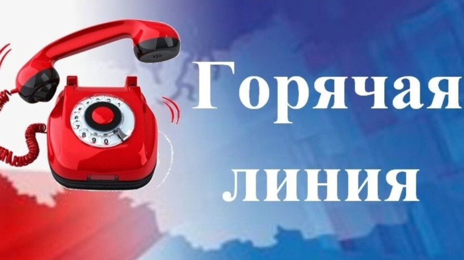 Горячая линия по вопросам организации питания в образовательных учреждениях Горячая линия по вопросам организации питания в образовательных учреждениях.